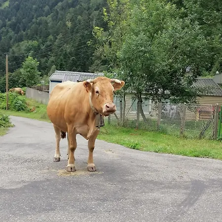Pyrenees Sainte-marie De Proche La Mongie Avec Parking Couvert Privatif *